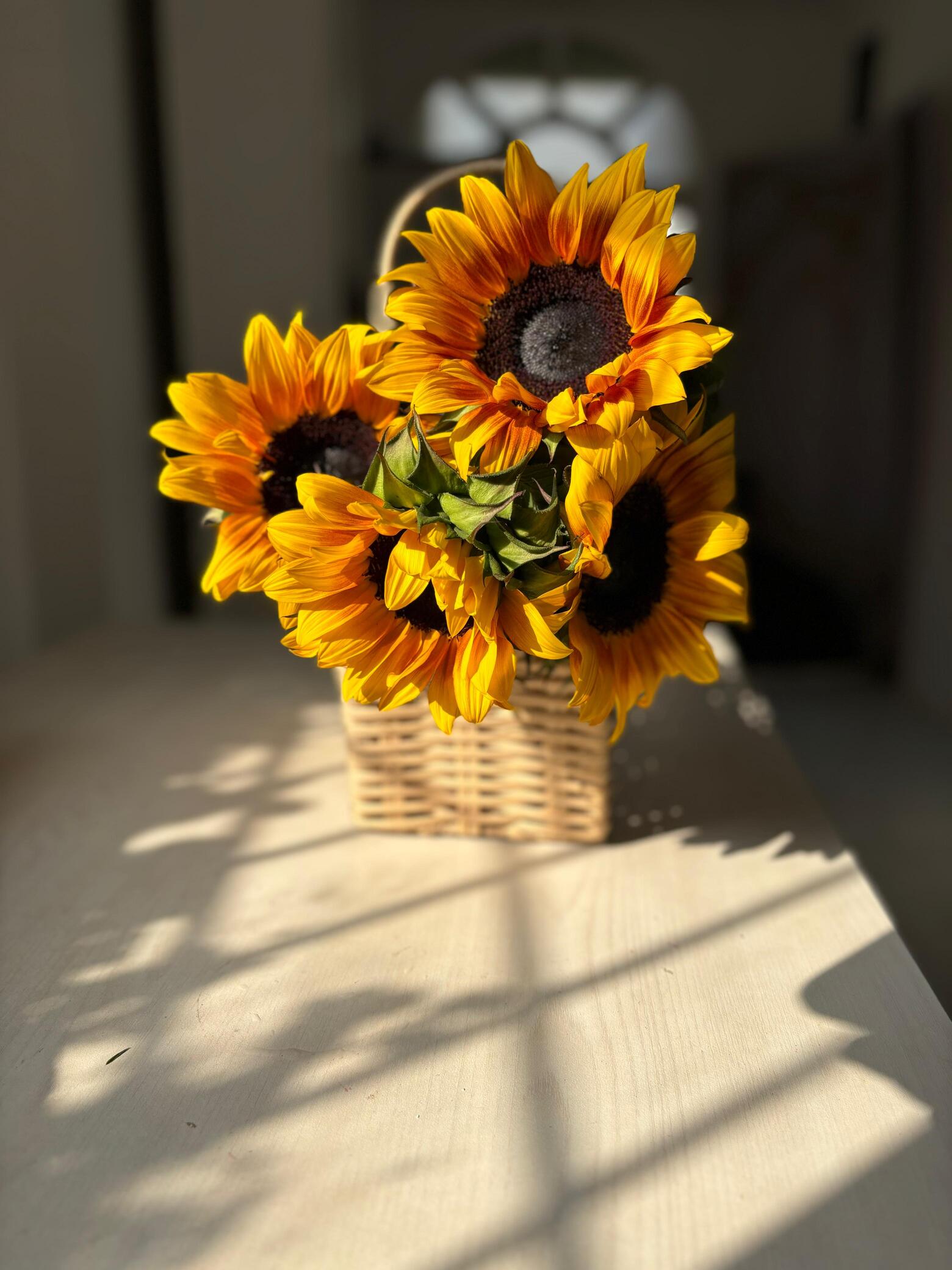 Sunflowers in Basket