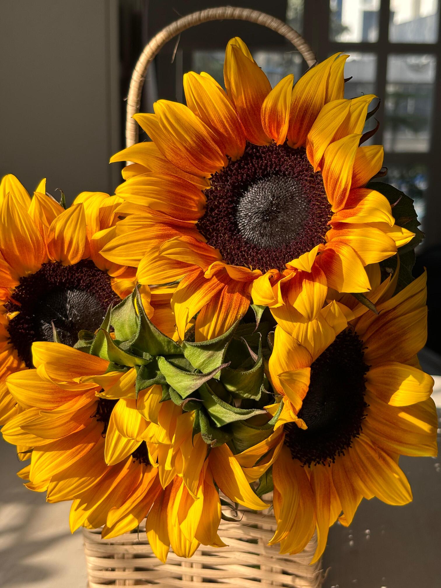Sunflower Online