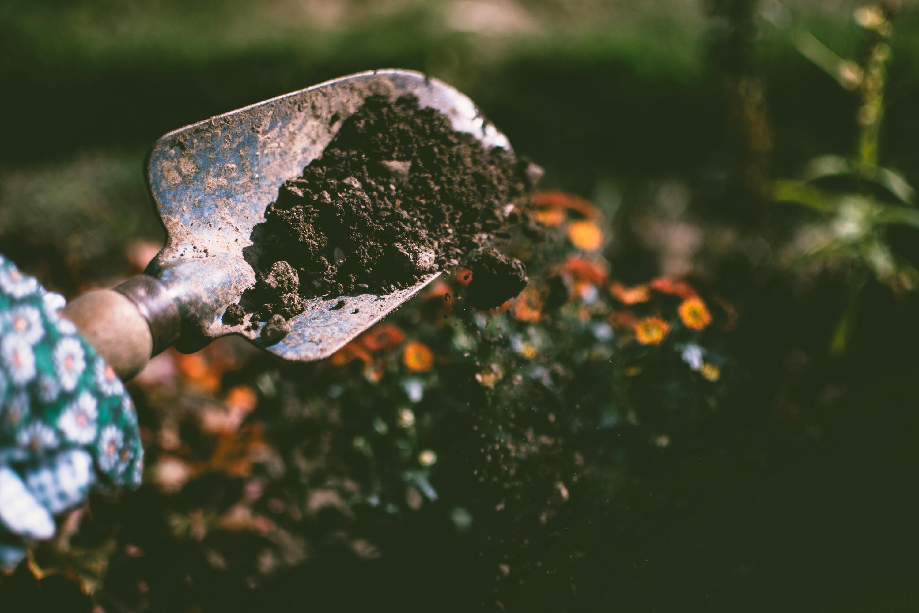 Soil for Indoor Gardening